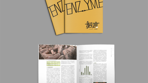 反盜版水?。寒a(chǎn)品手冊設(shè)計公司的知識產(chǎn)權(quán)隱形防護網(wǎng)