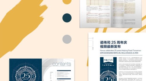 企業(yè)畫冊設(shè)計(jì)多少錢？一份說透價值與價格的視覺投資指南！