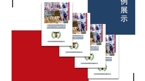 上海宣傳畫冊設(shè)計(jì)指南：從理念到落地的深度思考 | 專業(yè)解析