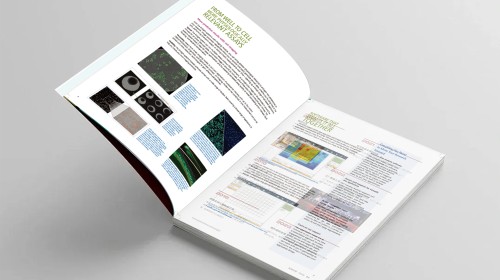別讓“改稿”拖垮你！搞定企業(yè)畫(huà)冊(cè)設(shè)計(jì)制作，這幾點(diǎn)真心管用！