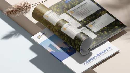 宣傳冊設(shè)計(jì)收費(fèi)指南：合理預(yù)算，打造高價值視覺形象 | 專業(yè)解析