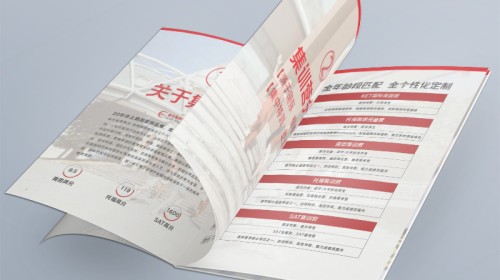 印刷設(shè)計(jì)畫(huà)冊(cè)：從視覺(jué)創(chuàng)意到完美成品｜避坑與升華