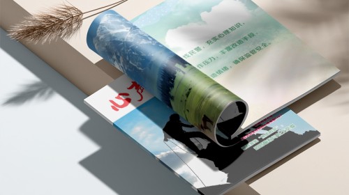 為什么奢侈品牌拒絕炫技？設(shè)計(jì)畫冊設(shè)計(jì)企業(yè)的克制美學(xué)