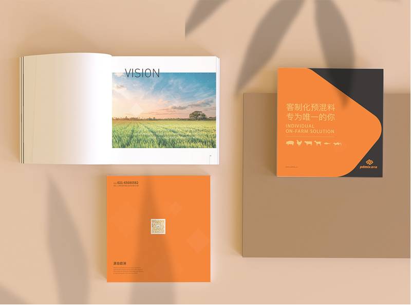 宣傳手冊(cè)設(shè)計(jì)