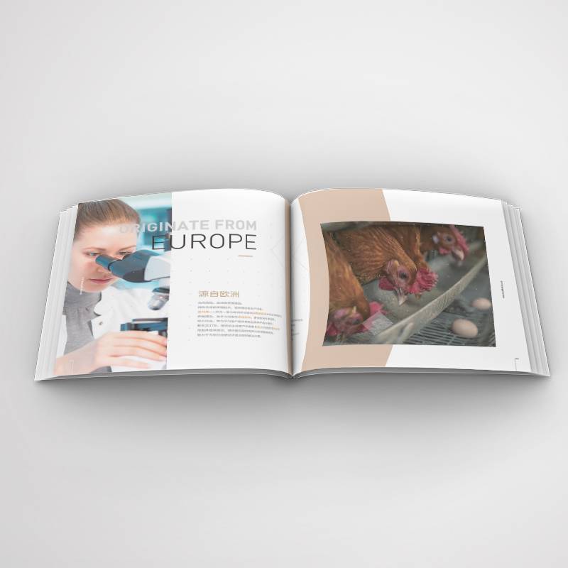 冊(cè)子設(shè)計(jì)企業(yè)宣傳冊(cè)設(shè)計(jì)