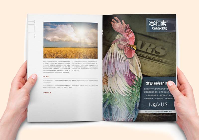 企業(yè)內(nèi)刊設(shè)計