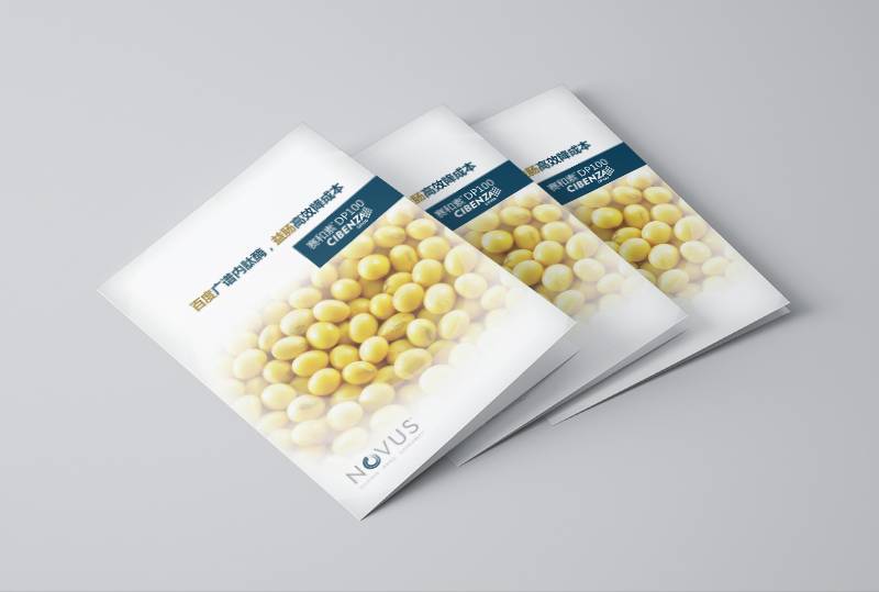 對(duì)折頁(yè)