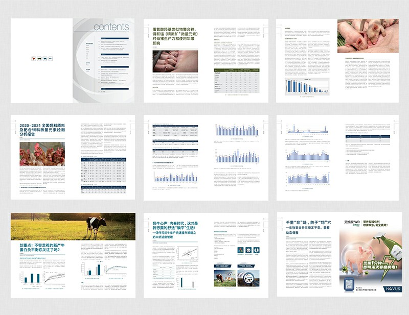 公司宣傳冊設(shè)計企業(yè)