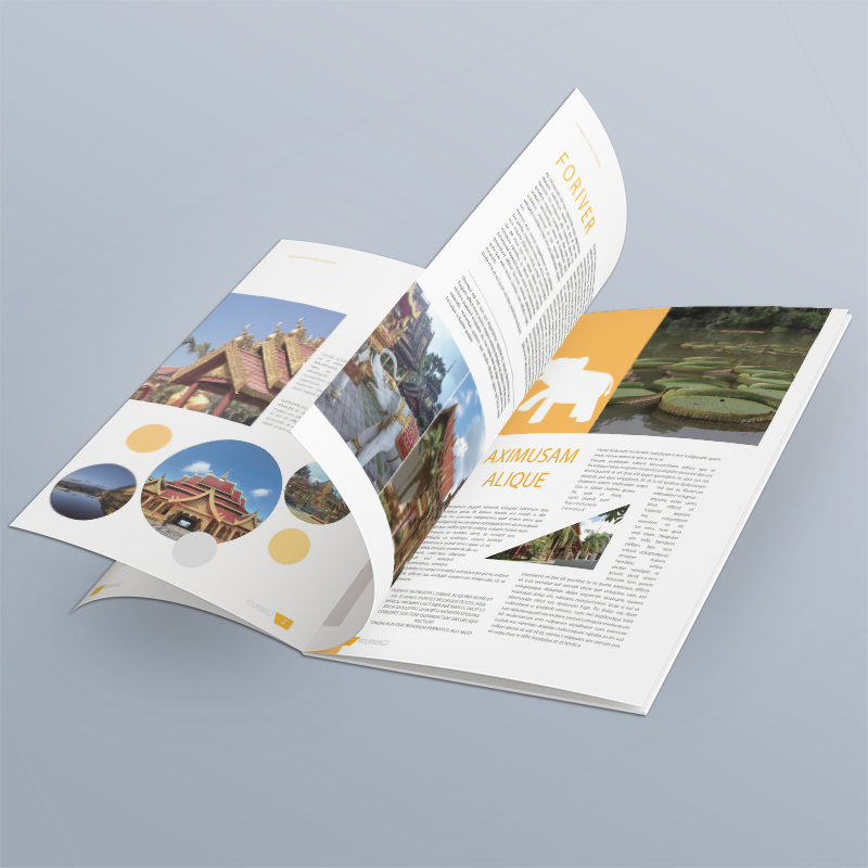 紀念畫冊設(shè)計多少錢