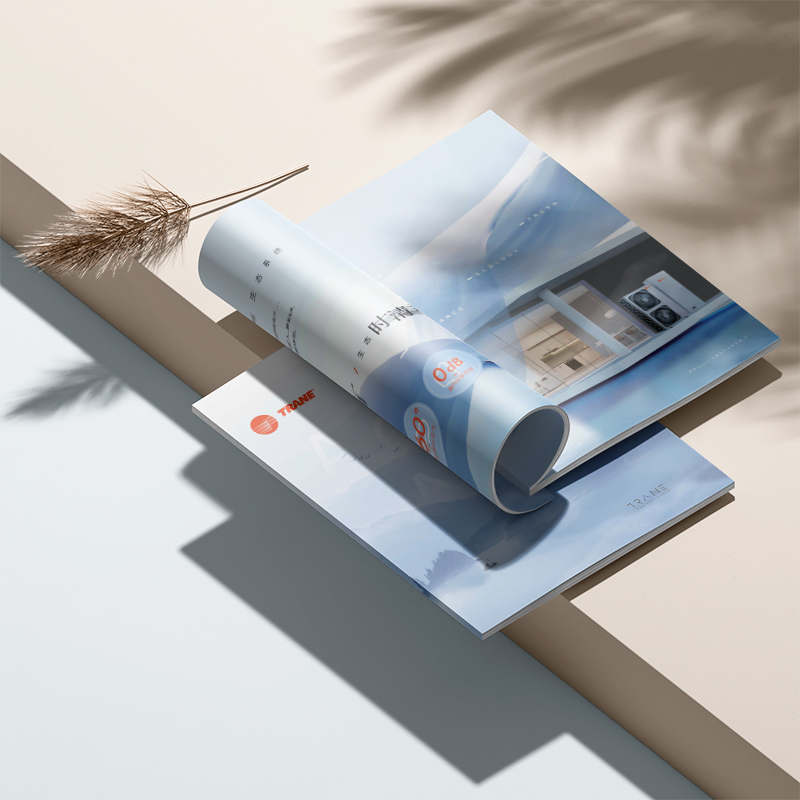 設(shè)計(jì)公司的宣傳畫(huà)冊(cè)