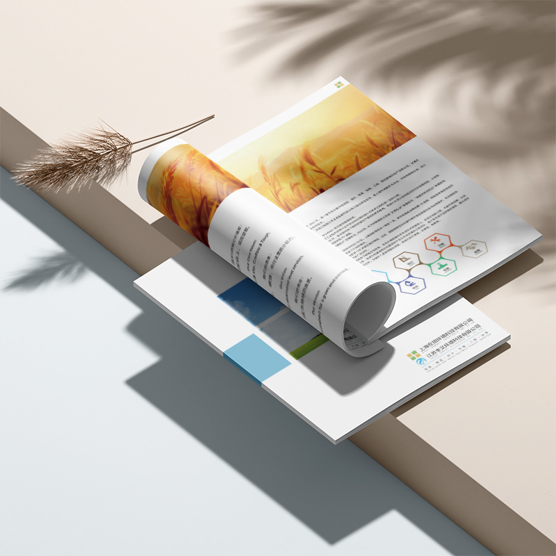 宣傳物料設(shè)計(jì)