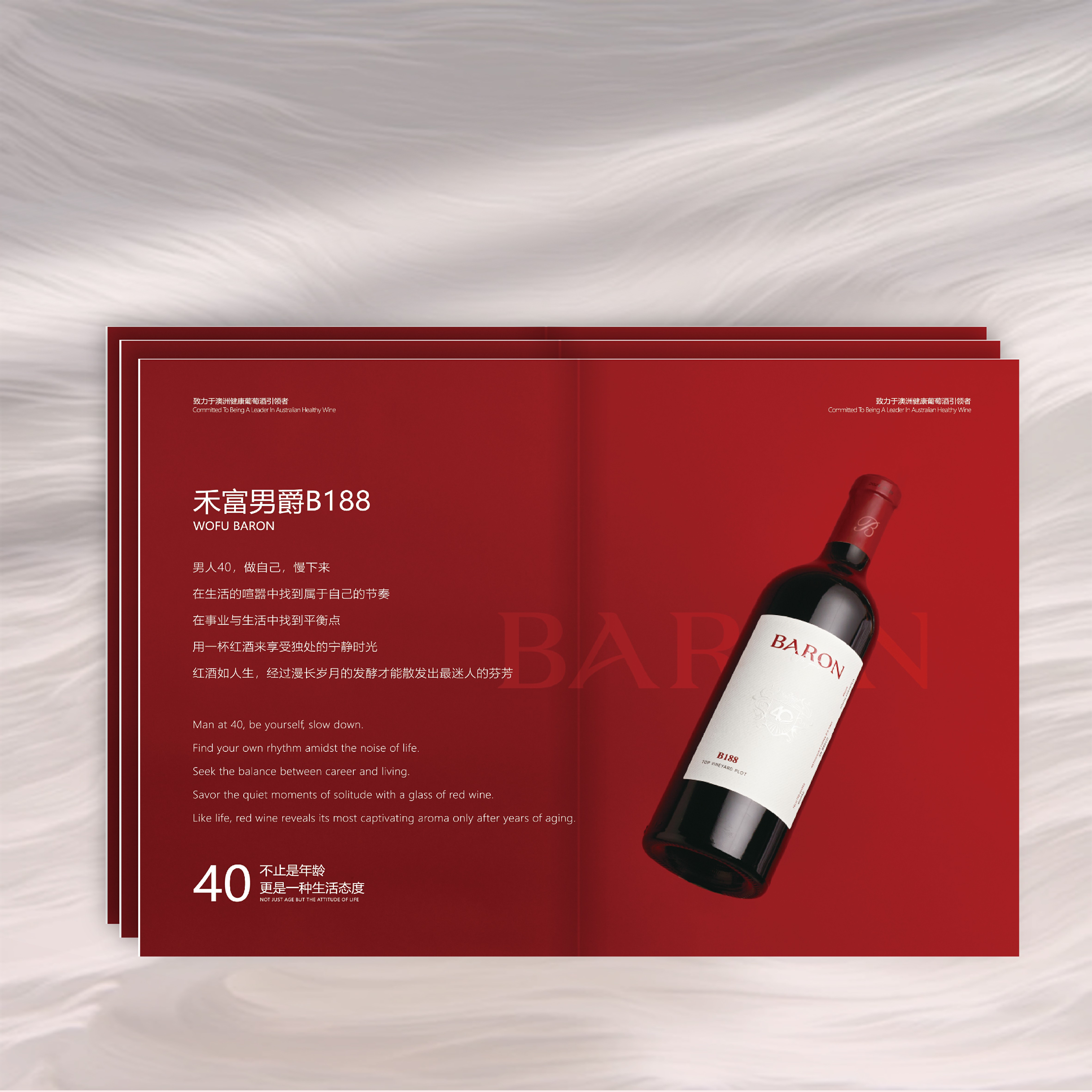 企業(yè)宣傳畫冊設(shè)計(jì)制作