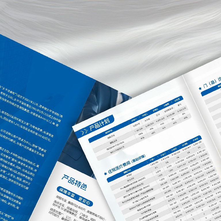 企業(yè)形象畫冊(cè)